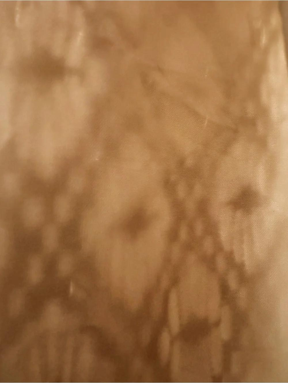 Beige Lace 